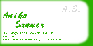 aniko sammer business card